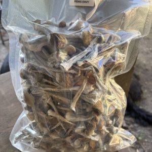 Penis Envy magic mushrooms with thick stems and pale caps, photographed for ShroomSwift collection.