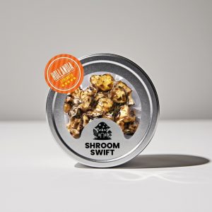 Psilocybe Hollandia Magic Truffles 15 g by Shroom Swift – ultra-strong psilocybin truffles with intense visuals and transformative effects, shipped worldwide.